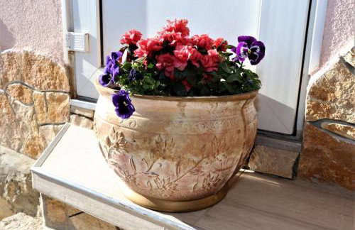 RELAX HOUSE - Foto 21