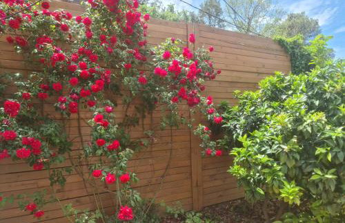 Nature Oasis near Barcelona with swimming pool Parties not allowed - Foto 32