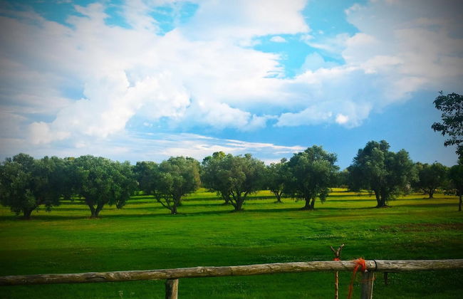 Agriturismo San Matteo - Foto 39