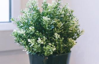 Autour du Monde #Netflix #Centre historique #Calme - Foto 18