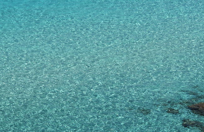 Excursão de veleiro a Favignana e Levanzo - Foto 1