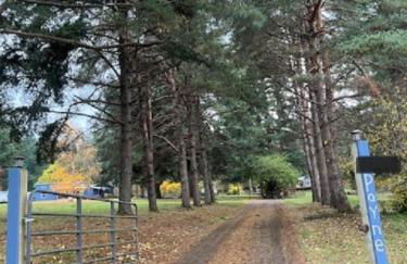 Cozy Cottage- just outside of the city! - Foto 25