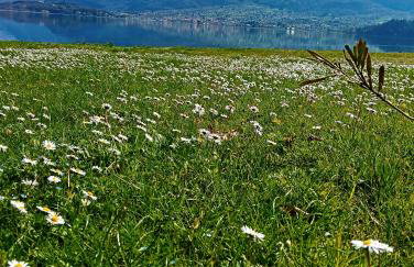 Lake Como PORTO VECCHIO - Charming Lakefront Apartment in the Heart of Domaso - Foto 57