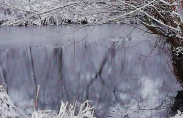 Am Froschteich - Foto 25