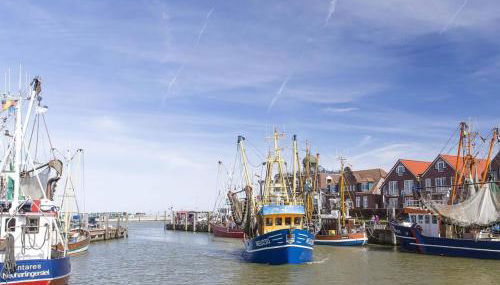 Stedesdorf, Ferienwohnung 'Nordsee-Wattwurm' - Foto 3