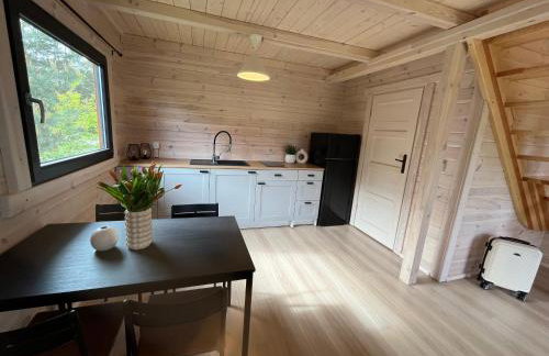 Domki Sosnowy Zakątek Swornegacie - Foto 25