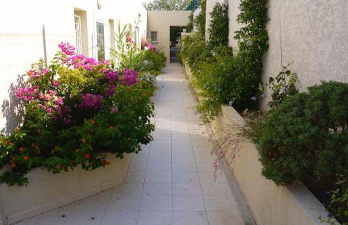 Résidence les Eucalyptus, Appart à 500m de la mer et du centre - Foto 1