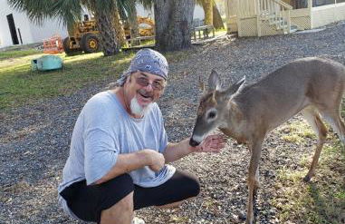 The Sunflower Studio Cottage - Foto 25