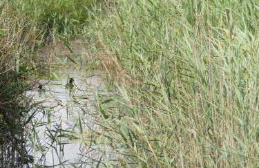 Casa vacanza Poesia - Foto 16