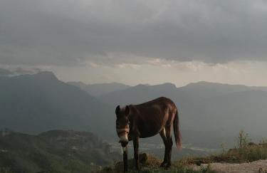 Meteora's sunset - Foto 7