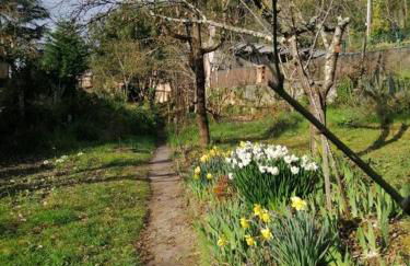 Appartement centre historique - Foto 7