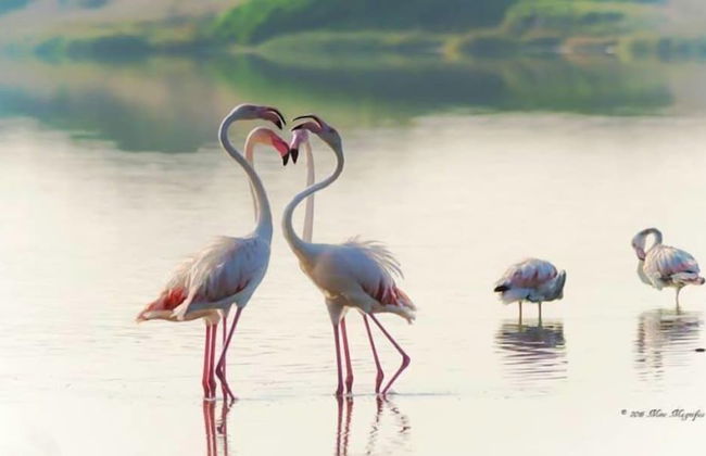 Casa Noscia - San Pietro in Bevagna - Foto 26