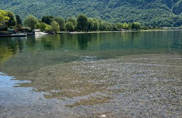 River House - Foto 35