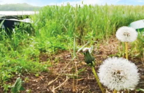 Holiday Home Morag Kretowiny Iii - Foto 17