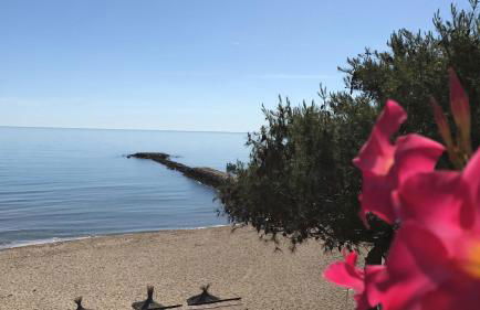 Villa Montserrat 1, Terrace & Pool - Foto 31