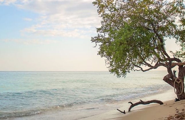 Jasia Luxury Villas - Foto 20