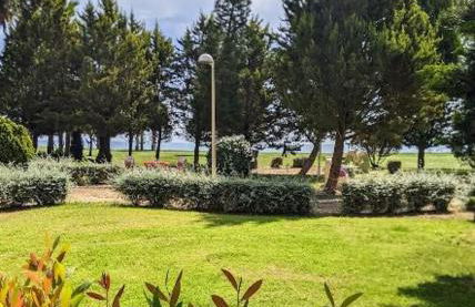 Mondrian Magic World - sea view first line of the beach - Photo 15