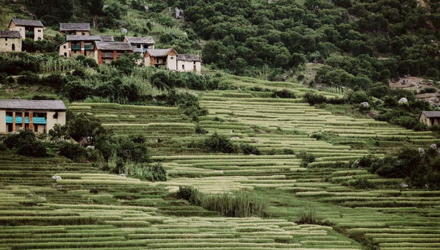 Tour in Ambohidratrimo - Photo 2