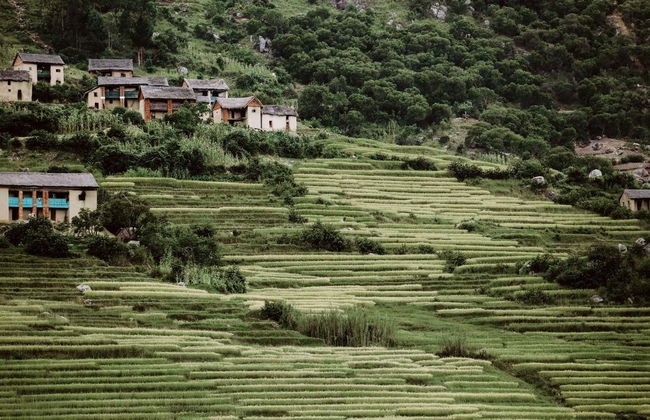 Tour privado de 9 días por Madagascar - Foto 2