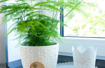 Ferienwohnung Familie Schleicher - Foto 15