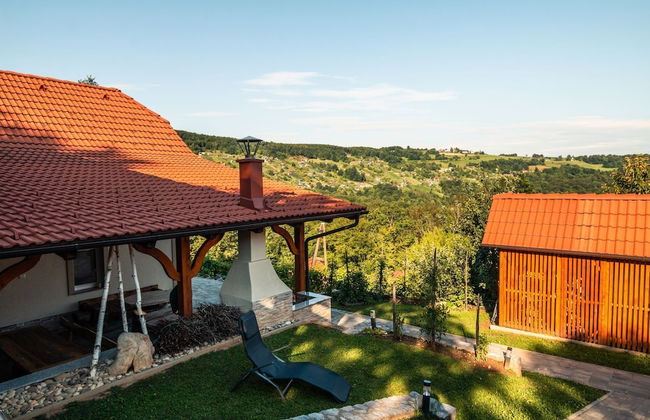 Vineyard cottage Na hribu - Photo 30