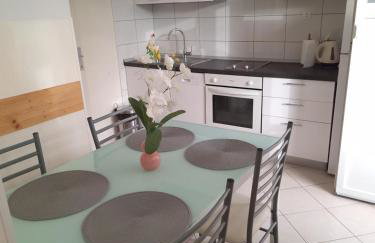 Apartment Banovac - Foto 14