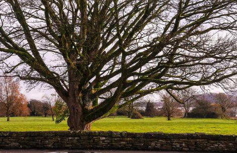 19 on the green - Foto 12