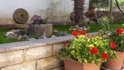 Apartments House Risika - Foto 3, Garden