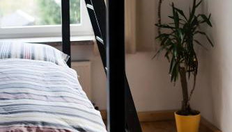 Ferienwohnung Oberförsterei Sosa I - Foto 5