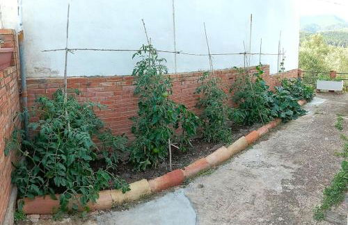 La casita de la Alquería, Montanejos - Foto 35