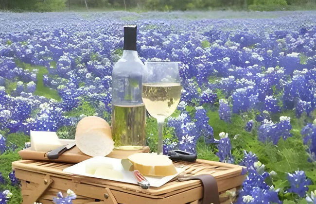 Family/event Retreat Sleeps 28 Amenities Galore - Foto 21