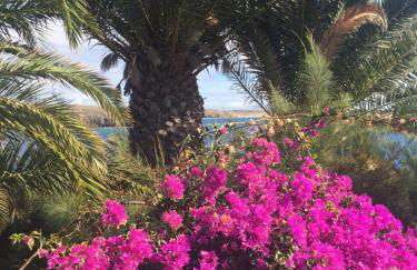 Les Terrasses Levantines - Foto 54