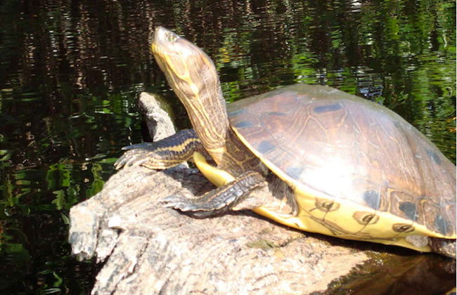 Tres Palos Lagoon Day Trip - Photo 4