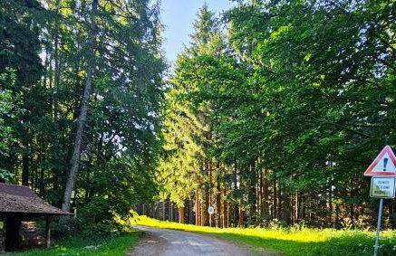 Graniczna 21 - w Górach Sowich - Foto 23