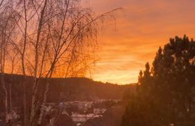 Ferienhaus Hörnchen - Photo 28