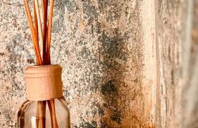 WegeLager - Photo 74