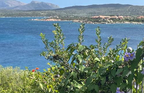 La tartaruga - Photo 30