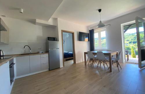 Apartamenty Asturia Rymanów Zdrój - Foto 16