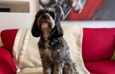 Afan forest-Cregan Cottage-Pet friendly - Foto 47