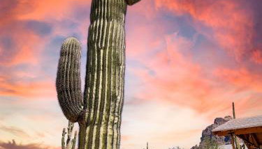 Boulder Apache Junction - Photo 3