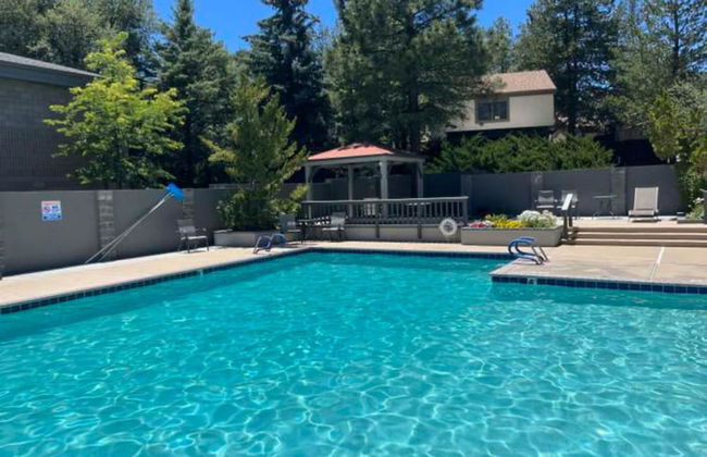 Coyote Hollow in the Pines - Photo 22