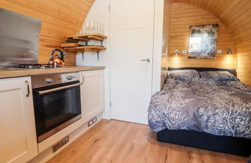 Gander Pod at Salford Court Farm Fishing Cabins - Foto 4