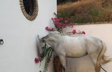 Casa Rural Los Menestrales - Foto 7