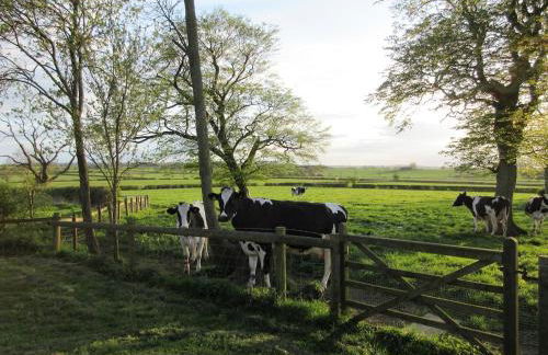 Prince Rupert's cottage with garden - Foto 22
