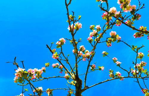 Appartement du Blanchet très agréable - Foto 18