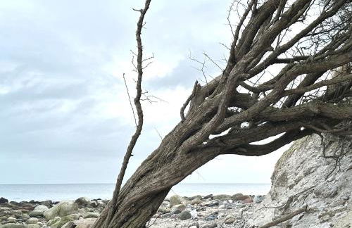 Moderne Ferienwohnung in Strandnähe - Urlaubsträume am Meer - Foto 25
