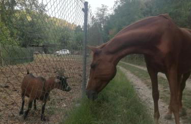 casa con encanto en el bosque y a 10 min de Girona - Foto 33