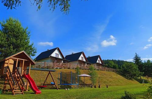 Bieszczadzki Bohater Domki 533-502-137 - Photo 13