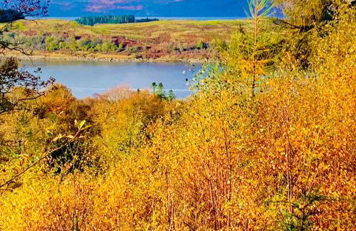 Linnhe Apartment, Kinlochlaich House - Foto 28