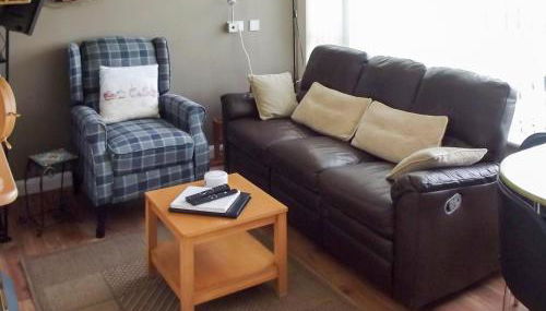 Hollyhocks - Photo 2